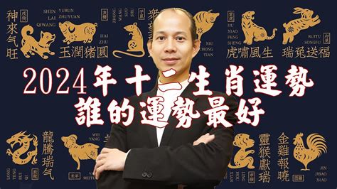 甲辰龍年|2024龍年生肖運勢解析！屬兔先學會放下、屬羊需要安太歲、屬。